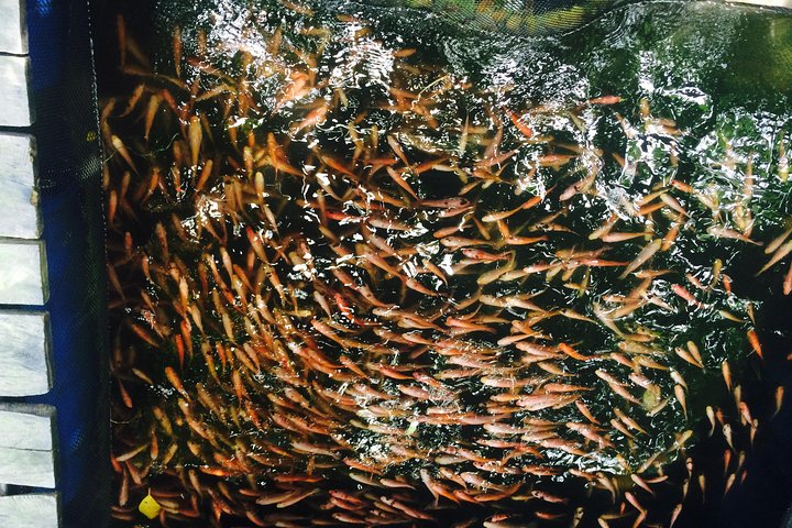 Airport Transfer by Hikkaduwa Taxi Service  - Photo 1 of 14